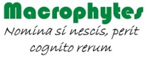 MacroPhytes Logo