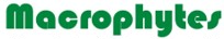 MacroPhytes Logo